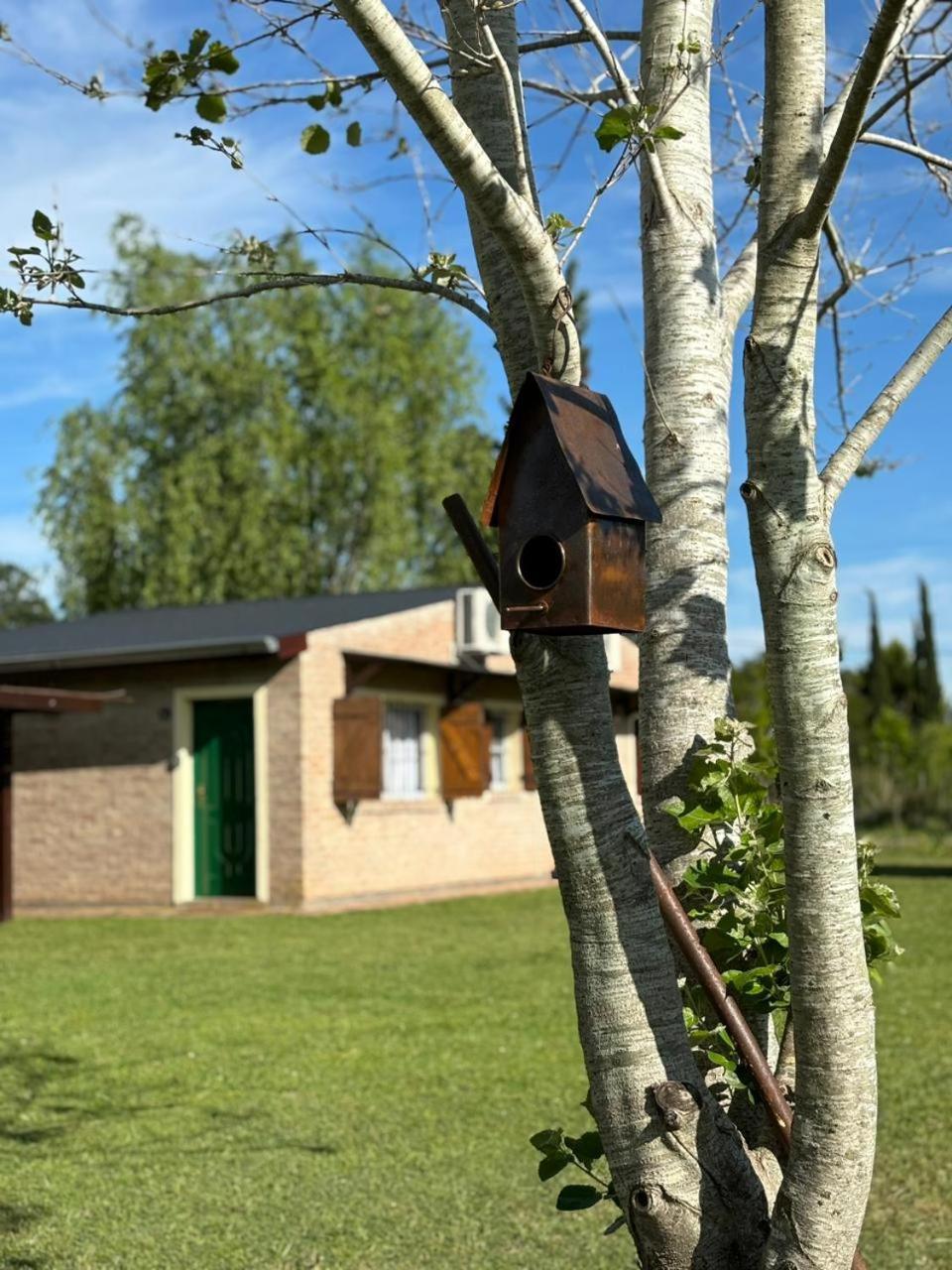 Aroma De Campo Guest House Chascomús Exterior foto